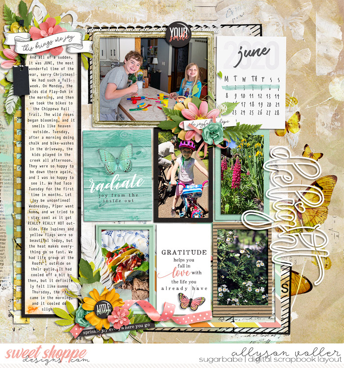 allyanne_NTSFindingJoy_01_WM