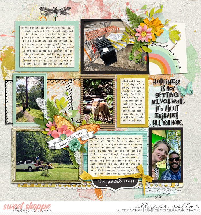 allyanne_NTSFindingJoy_02_WM