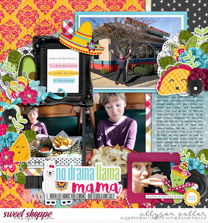 allyanne_NachoAverageMama_set248_WM