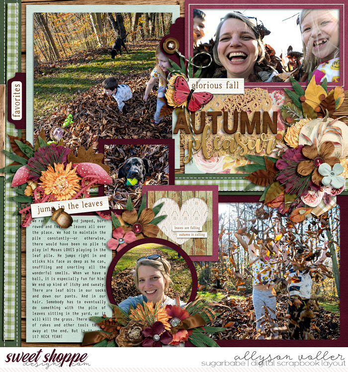 allyanne_Palooza190_AutumnPleasures_02_WM