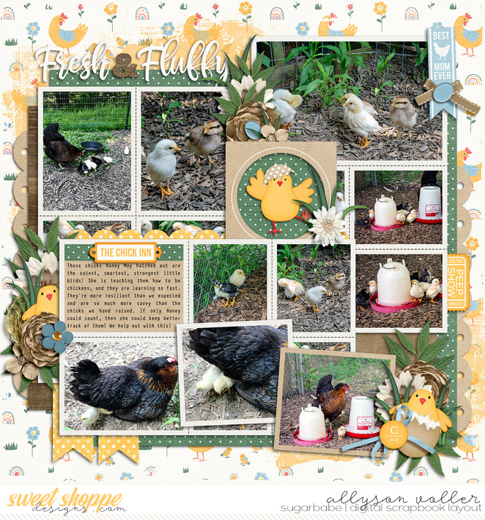 allyanne_Palooza325_01_WM