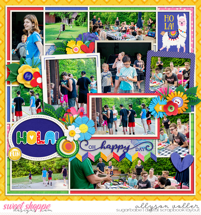 allyanne_Palooza502_01_WM