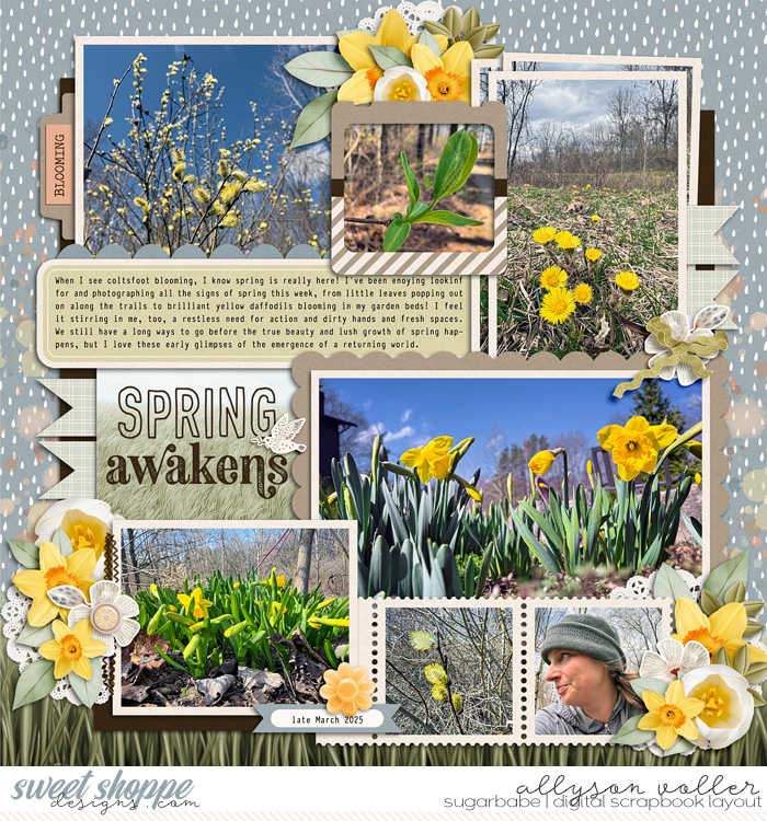 allyanne_Palooza518_01_WM