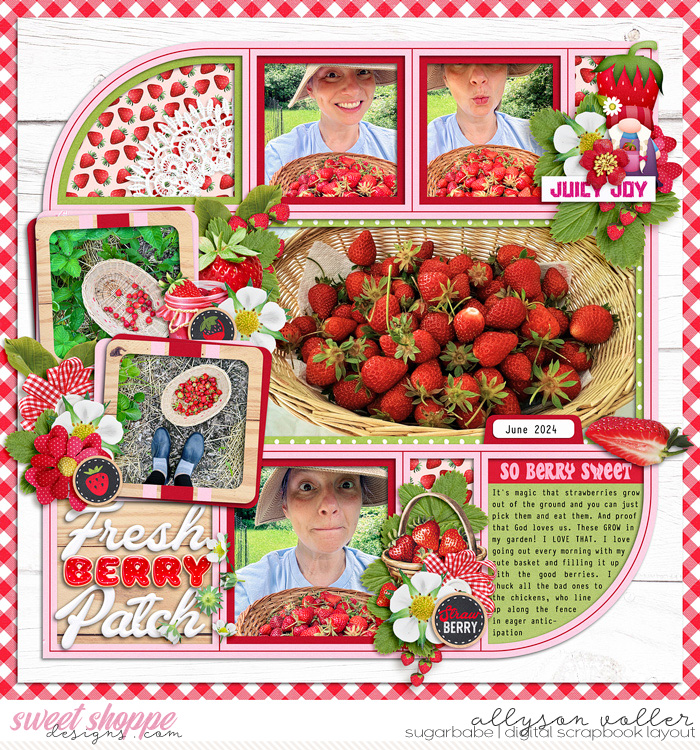 allyanne_Palooza541_FeelingVeryBerry_WM