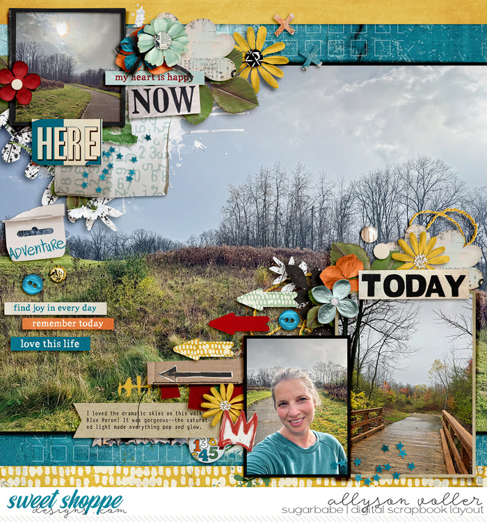 allyanne_PicturesquePerfection_01_EverydayAdventuresFD_01_WM