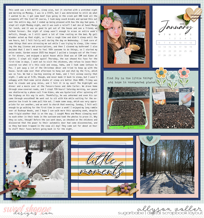 allyanne_PocketStories_03_AllTHatMatters_01_WM