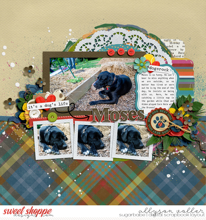 allyanne_ScrapMaps2_01_ADogsLifeToo_01_WM