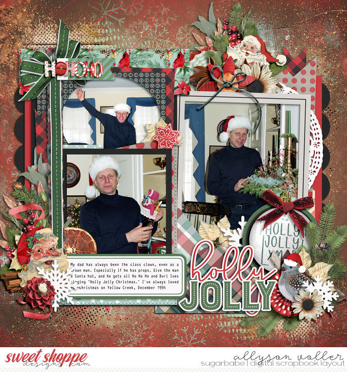 allyanne_Set280_01_ABushChristmas_01_WM