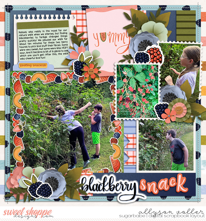 allyanne_Set297_01_SummerPicnic_01_WM