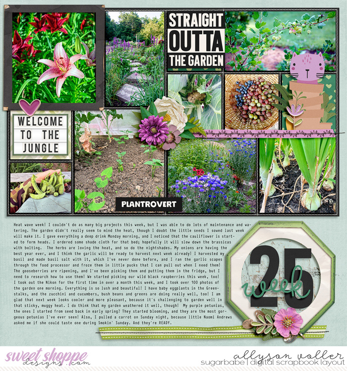 allyanne_Soilmates_left_WM