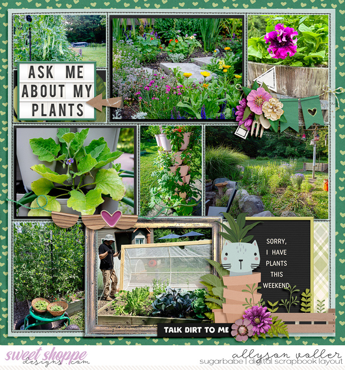 allyanne_Soilmates_right_WM