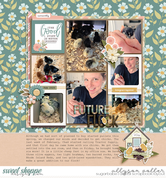 allyanne_StraightStitches_CoopLife_WM