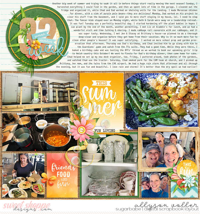 allyanne_SummerRecap_left_WM
