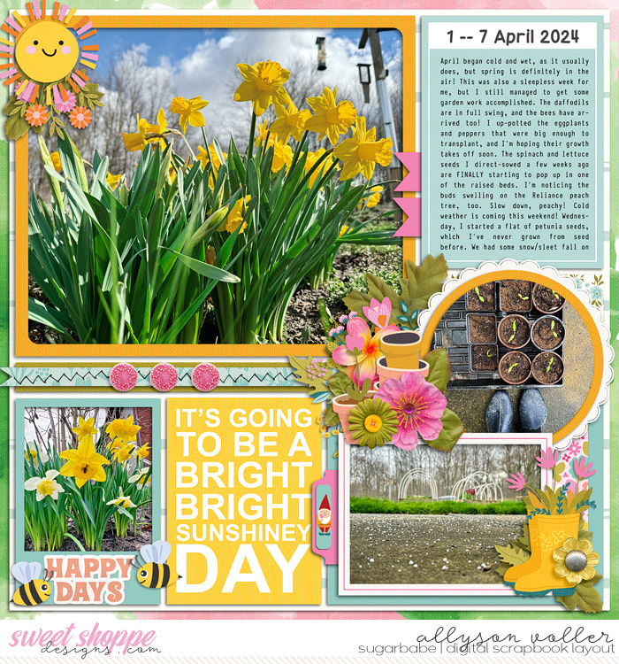 allyanne_SunshineyDays_left_WM