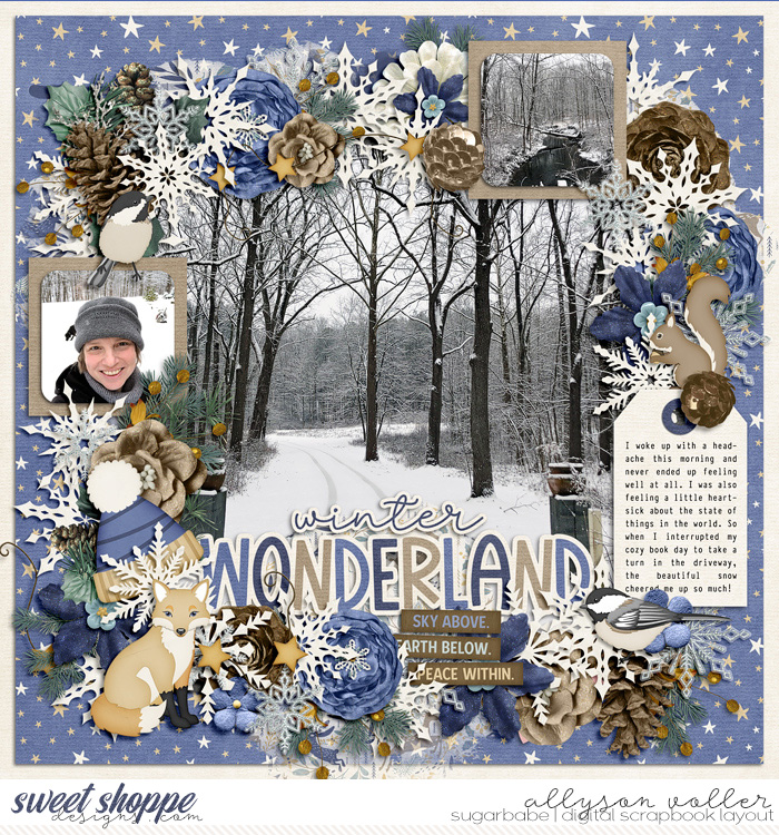 allyanne_TP93_Winterwoods_01_WM