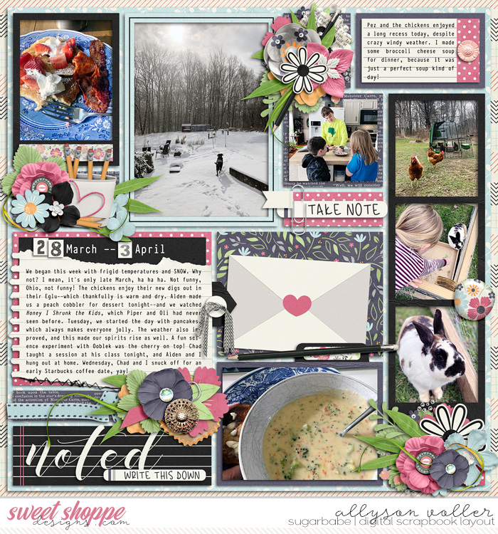 allyanne_TakeNote_01_WM