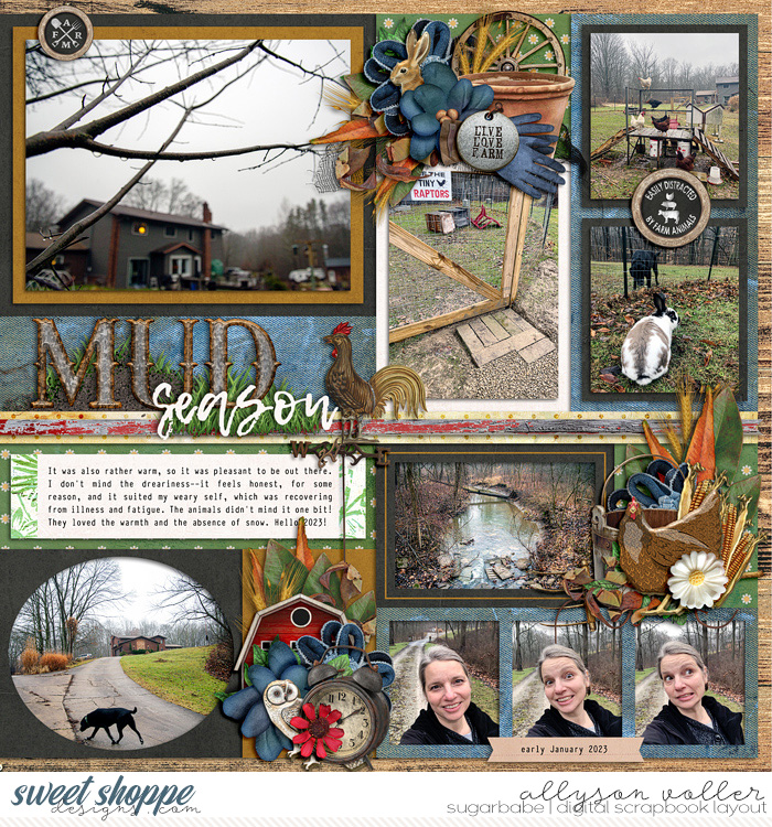 allyanne_TheGoodLife_02_WM