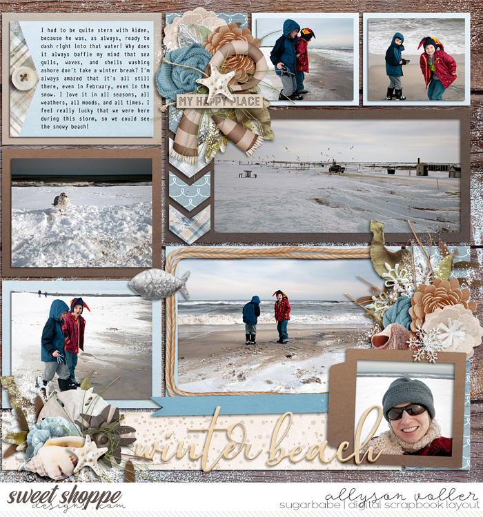 allyanne_WinterBeach_02_WM