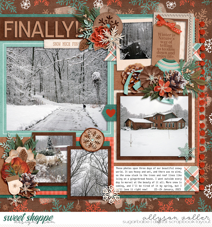 allyanne_WinterisforHome_right_WM