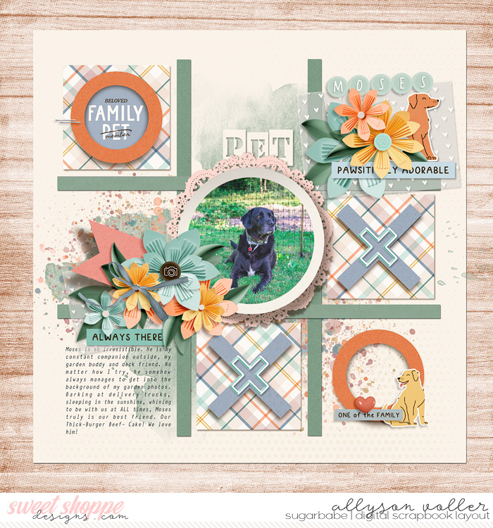 allyanne_XsandOs_01_FamilyPet_01_WM