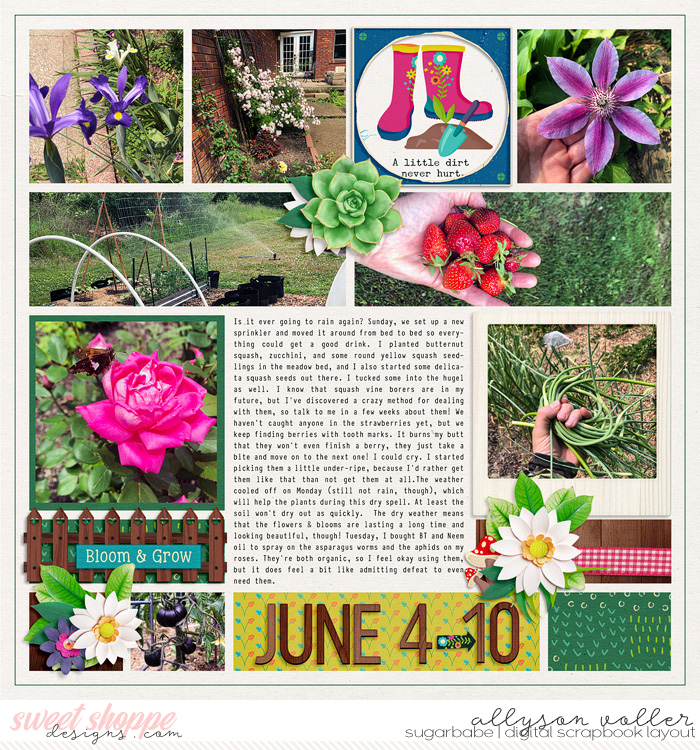 allyanne_notedVol5_01_WM
