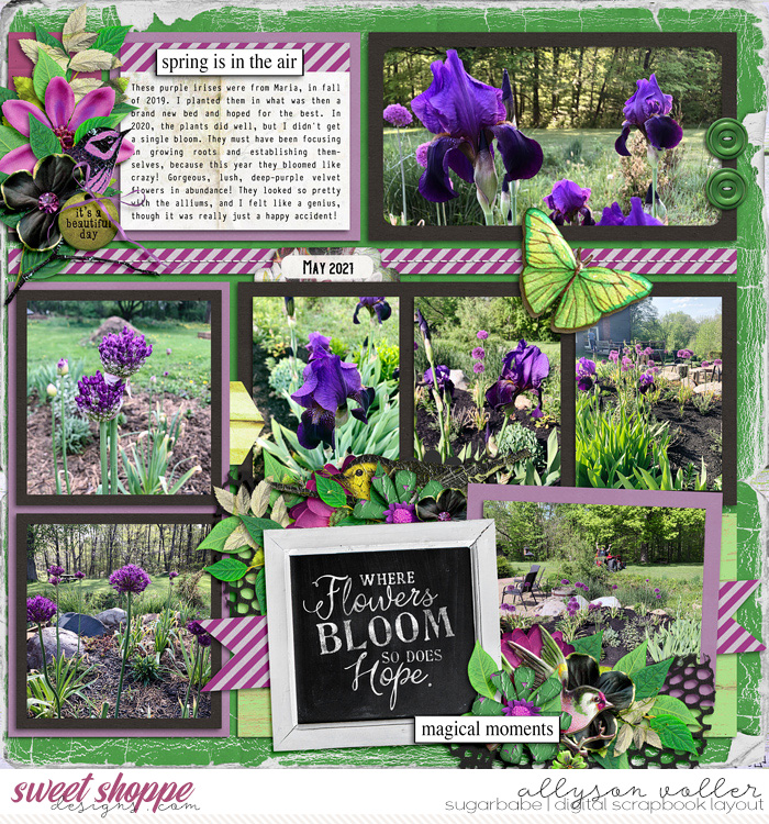 allyanne_palooza244_right_WM