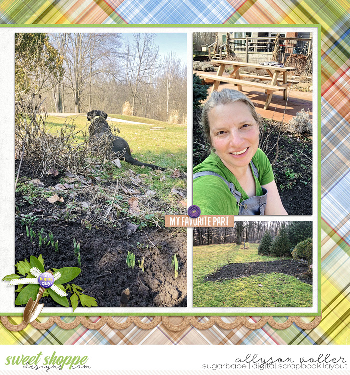 allyanne_wttwholidaysstpats2_01_AYRMarch_right_WM