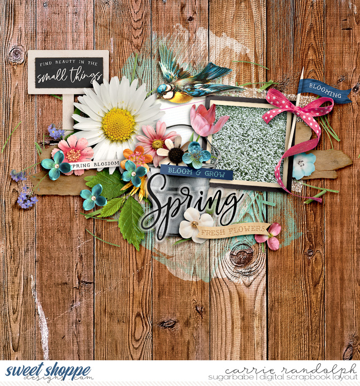 amongthewildflowersWebWM
