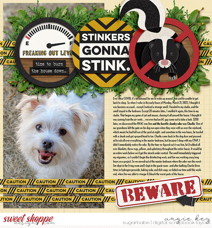 angiekey-2022-05-Stinker-wmark