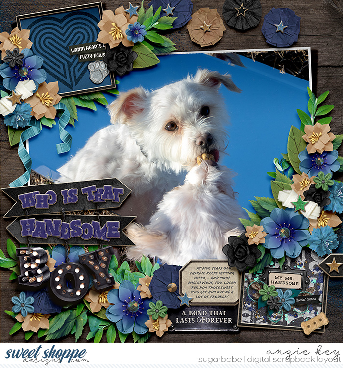angiekey-2025-02-HandsomeBoy-wmark