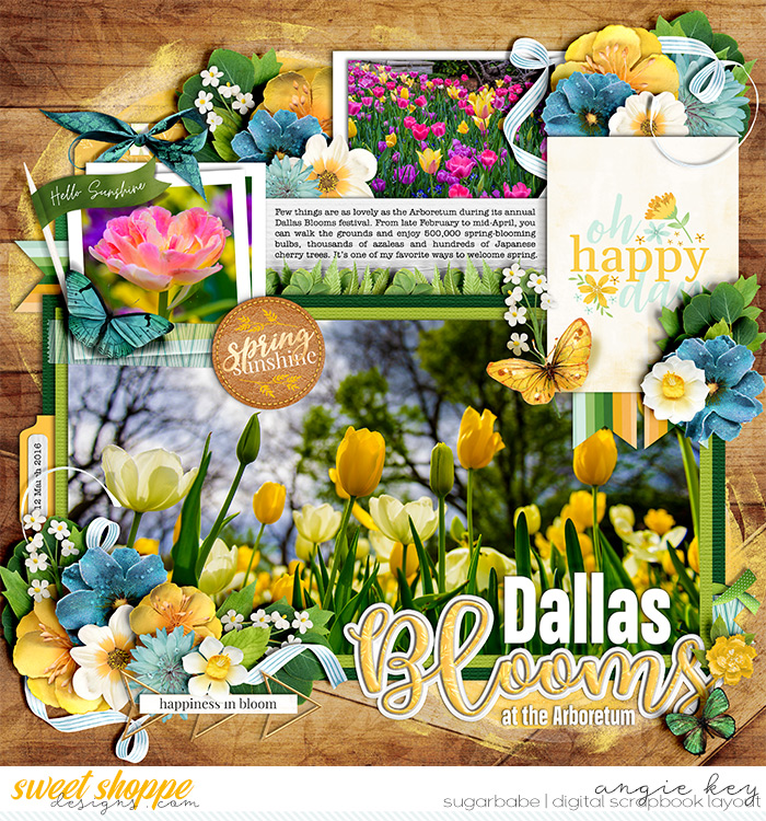 angiekey-dallasblooms-wmark