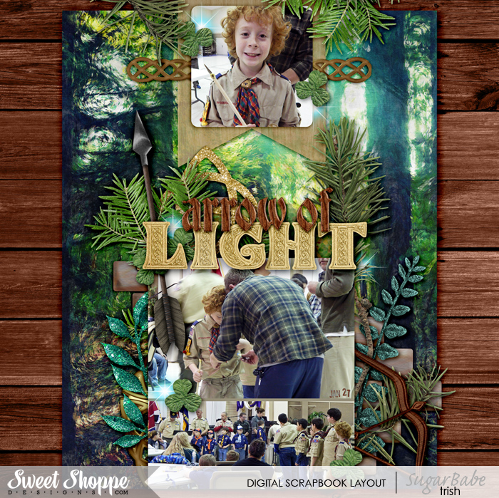 arrowoflightb