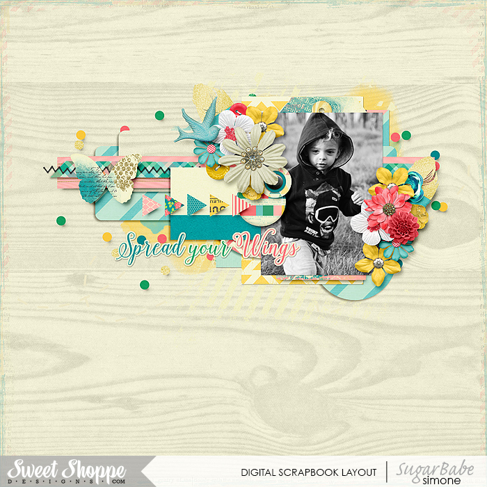 aslp_takeflight_ttt83_bm