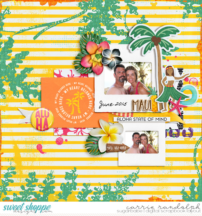 atw-hawaiiWebWM