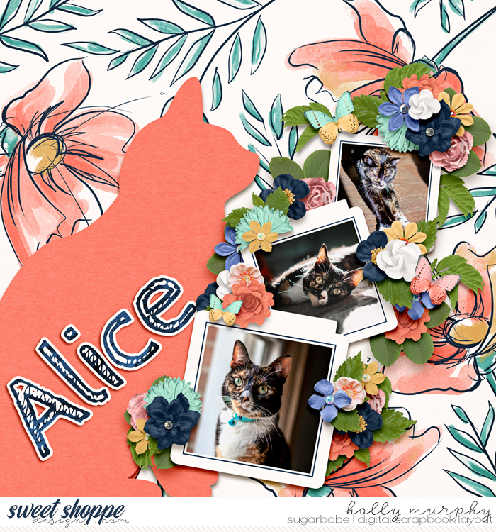 babelayout_hollyxann_Alice_web1