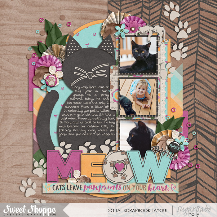 babelayout_hollyxann_MEOW_web