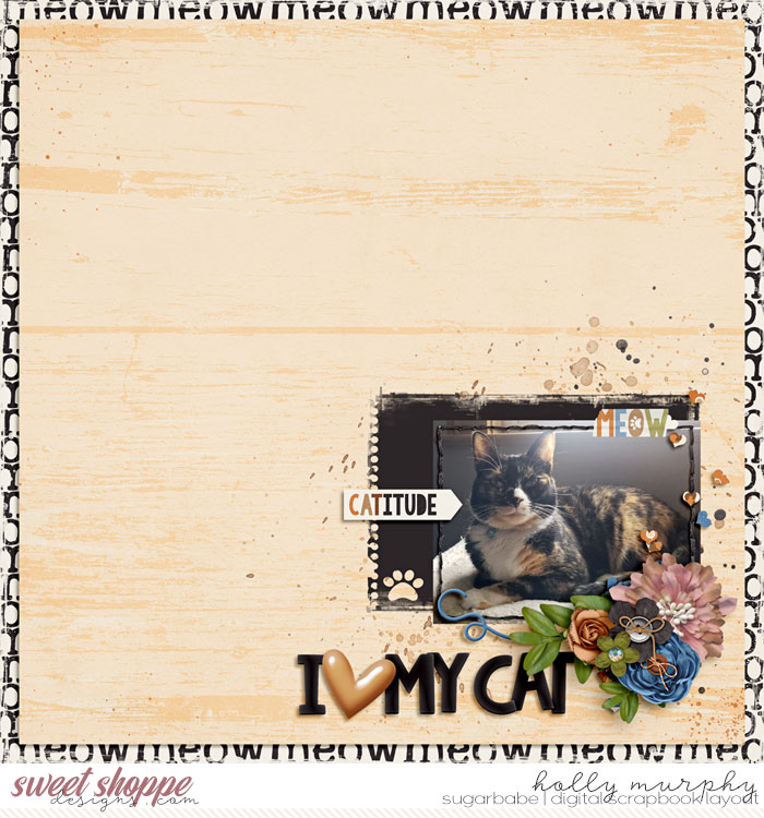 babelayout_hollyxann_catitude_web