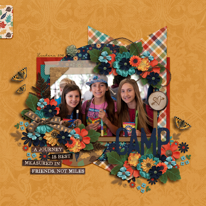 campliahona2016_700web