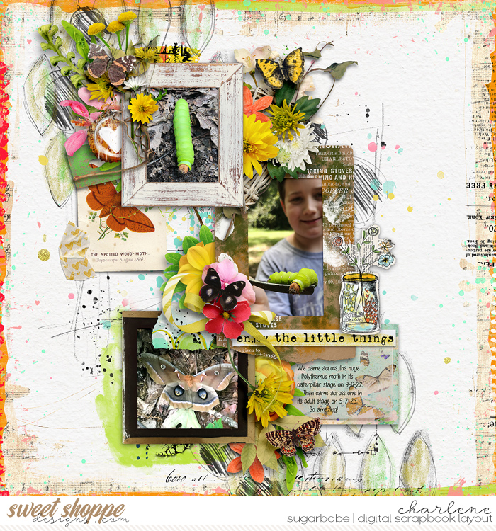 char_CYOA-May-BeesButterflies_Bugs_wm