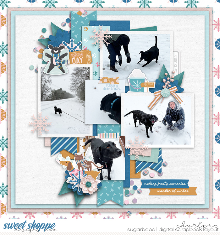 char_bbonneville-snowmuchfun_ljs-4story-5photos_wm