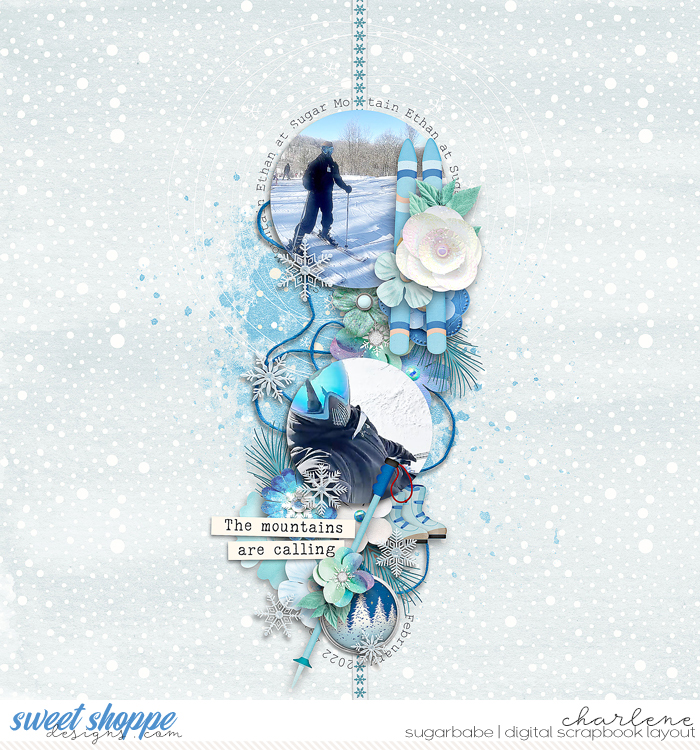 char_bg-happyhobby-skiing_Soco-CircledNo6_wm