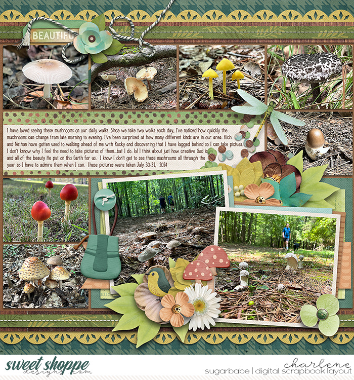 char_bg-happyhobby_cschneider-DTF19-left_wm