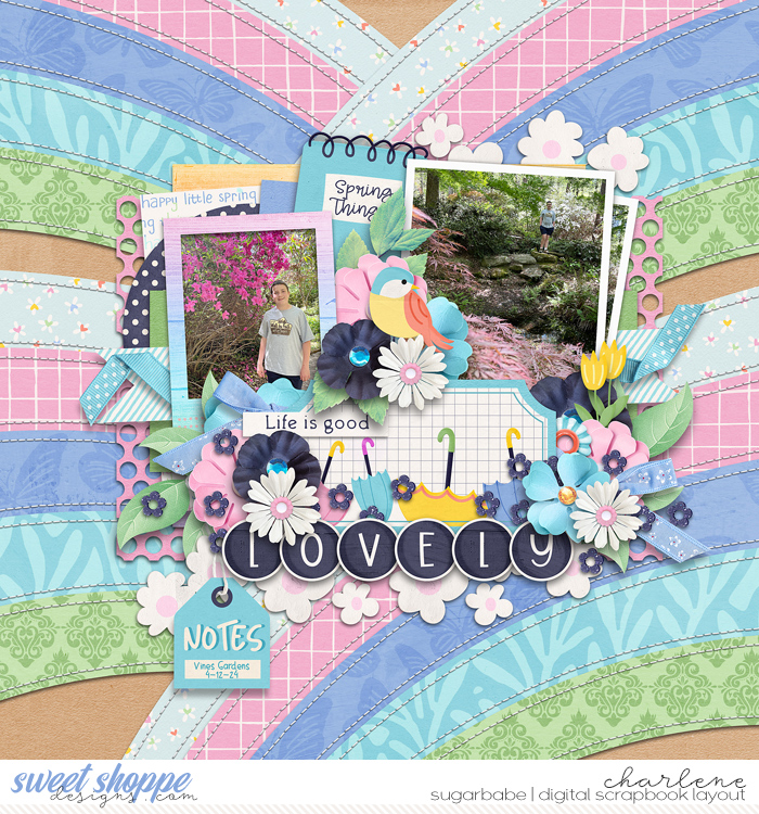 char_bg-thinkspring_cschneider-boldbkgrds1-creativeclusters1_wm