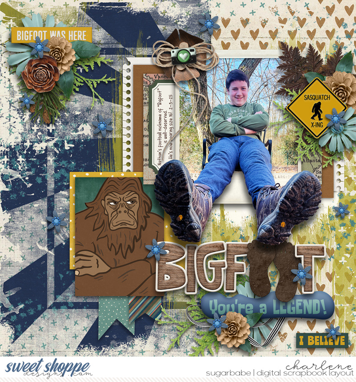 char_cmg-bigfootfriendorfoe_aws-twosidesseasonsv1_wm