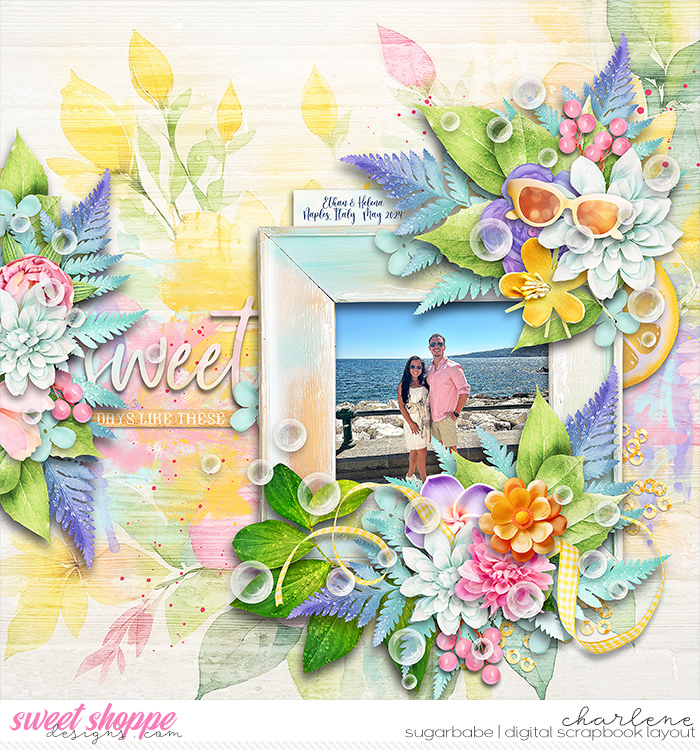 char_dsi-sunnyvibes_wm