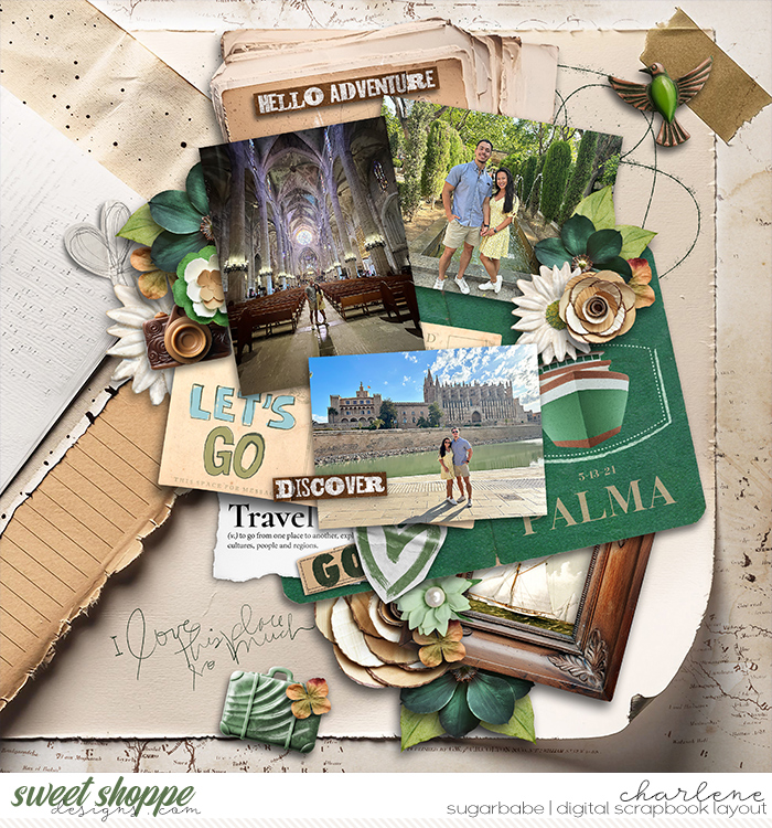 char_lbw-voyagesandvistas_wm