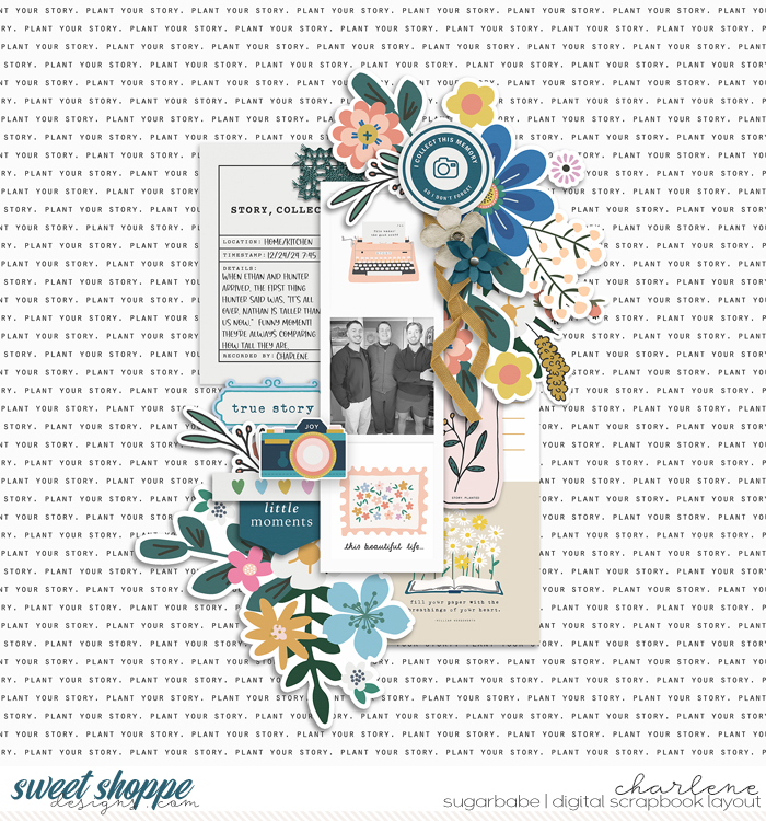 char_sgleason-plantyourstory_wm
