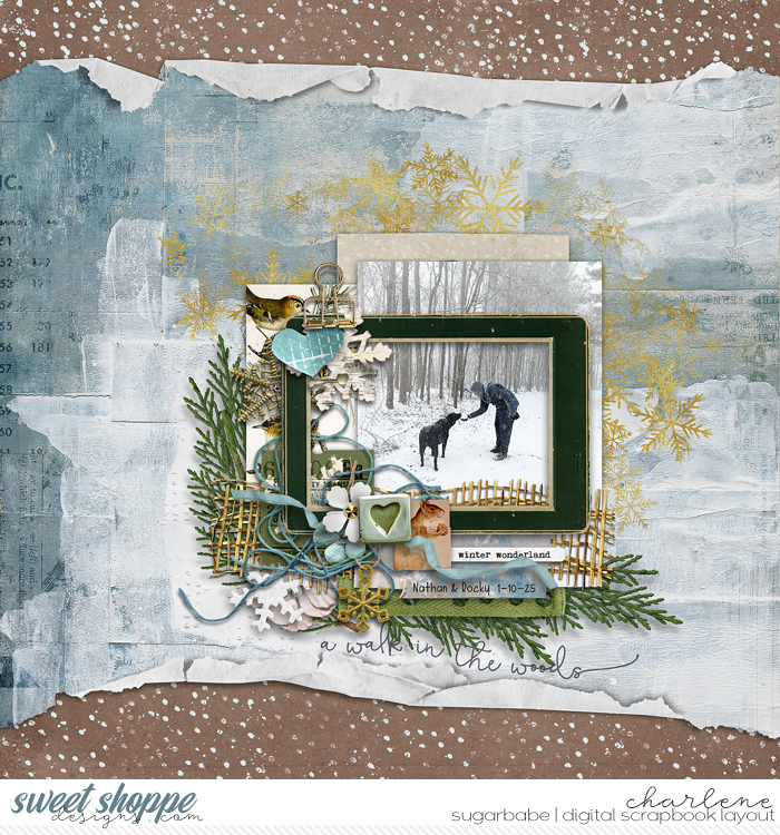 char_ts-ainwinterwoods_wm