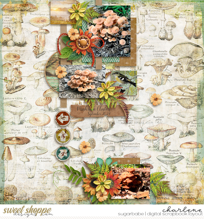 charlene_wendyp-simplesteps3_WM