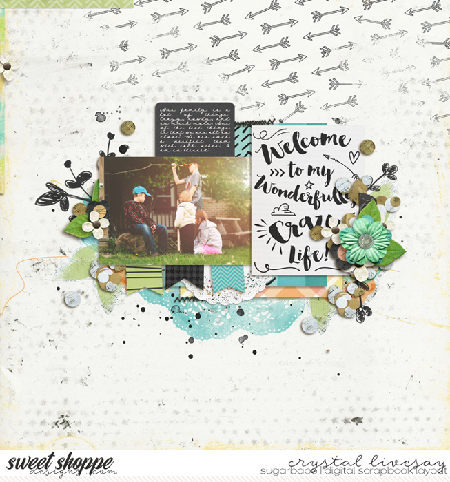 clivesay_crazywonderfullife_gallery